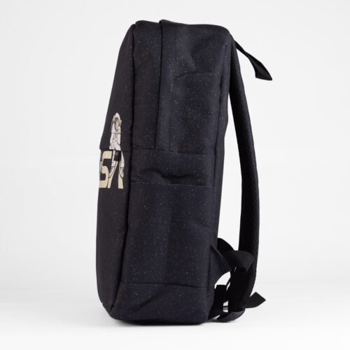 NASA Backpack - Image 4